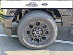 2025 Ford F-250 Crew Cab 4x4 Pickup for sale #49825 - photo 10