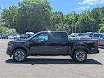 New 2025 Ford F-150 STX SuperCrew Cab 4x4 Pickup for sale #49844 - photo 6