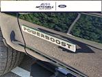 2025 Ford F-150 SuperCrew Cab 4x4 Pickup for sale #49935 - photo 37