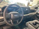 2024 Ford F-250 Regular Cab 4x4 Pickup for sale #D0086 - photo 13