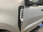 2024 Ford F-250 Regular Cab 4x4 Pickup for sale #D0086 - photo 9
