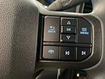 2024 Ford F-350 Crew Cab SRW 4x4 Pickup for sale #D0451 - photo 20