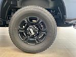 2024 Ford F-350 Regular Cab SRW 4x4 Pickup for sale #D0737 - photo 21