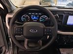 2024 Ford F-450 Regular Cab DRW 4x4 Cab Chassis for sale #D1143 - photo 13