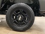 2024 Ford F-350 Regular Cab SRW 4x4 Pickup for sale #D1341 - photo 20