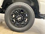 2025 Ford F-350 Crew Cab SRW 4x4 Pickup for sale #E0301 - photo 24