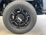 2025 Ford F-350 Crew Cab SRW 4x4 Pickup for sale #E0340 - photo 22