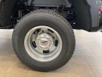 2025 Ford F-350 Regular Cab DRW 4x4 Pickup for sale #E0342 - photo 18