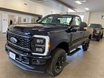 2025 Ford F-350 Regular Cab SRW 4x4 Pickup for sale #E0352 - photo 5