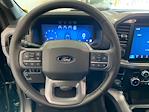 2025 Ford F-150 SuperCrew Cab 4x4 Pickup for sale #E0365 - photo 19