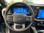 2025 Ford F-150 SuperCrew Cab 4x4 Pickup for sale #E0367 - photo 20