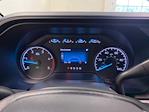 2025 Ford F-550 Crew Cab DRW 4x4 Cab Chassis for sale #E0401 - photo 21