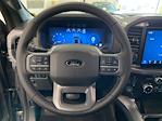 2025 Ford F-150 SuperCrew Cab 4x4 Pickup for sale #E0451 - photo 19