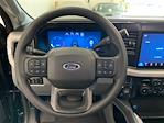 2025 Ford F-250 Crew Cab 4x4 Pickup for sale #E0506 - photo 19