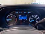 2025 Ford F-250 Regular Cab 4x4 Pickup for sale #E0521 - photo 17