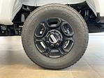 2025 Ford F-350 Regular Cab SRW 4x4 Pickup for sale #E0544 - photo 17