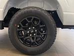New 2025 Ford F-150 XLT SuperCrew Cab 4x4 Pickup for sale #E0787 - photo 28