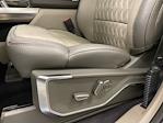 New 2025 Ford F-150 Platinum SuperCrew Cab 4x4 Pickup for sale #E0912 - photo 19