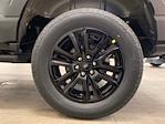 New 2025 Ford F-150 Platinum SuperCrew Cab for sale #E0991 - photo 29
