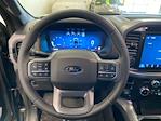 2025 Ford F-150 SuperCrew Cab 4x4 Pickup for sale #E1060 - photo 27
