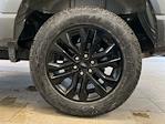 2025 Ford F-150 SuperCrew Cab 4x4 Pickup for sale #E1060 - photo 10