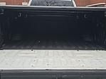 2022 Ford F-350 Crew Cab SRW 4x4 Pickup for sale #C03062P - photo 15