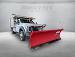 2017 Ford F-450 Regular Cab DRW 4WD Cab Chassis for sale #C03369Z - photo 2
