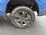 2023 Ford F-150 SuperCrew Cab 4WD Pickup for sale #C03522P - photo 23