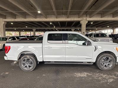 Used 2023 Ford F-150 - photo 1