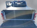 2023 Ford F-150 SuperCrew Cab 4WD Pickup for sale #C03547P - photo 19