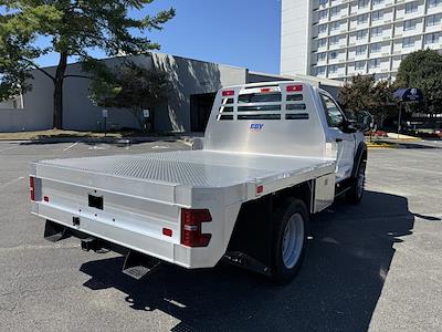 2025 Ford F-450 Regular Cab DRW 4x4 Cab Chassis for sale #CDA20012 - photo 2