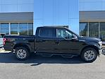 2019 Ford F-150 SuperCrew Cab 4WD Pickup for sale #CE00834B - photo 30