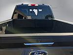 2020 Ford F-250 Crew Cab 4x4 Pickup for sale #CEC5585H - photo 10