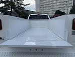 2025 Ford F-350 Crew Cab DRW 4x4 Cab Chassis for sale #CED57232 - photo 6