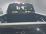 2024 Ford F-250 Crew Cab 4x4 Pickup for sale #CED6354A - photo 10