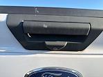 2019 Ford F-150 Regular Cab RWD Pickup for sale #CED6542A - photo 26