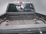 2018 Ford F-250 Crew Cab 4x4 Pickup for sale #CED9729A - photo 9