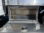 2024 Ford F-350 Regular Cab DRW RWD Cab Chassis for sale #CEE67346 - photo 19