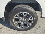 2024 Ford F-150 SuperCrew Cab 4x4 Pickup for sale #CFA1551A - photo 9