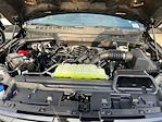 2026 Ford F-150 SuperCrew Cab 4WD Pickup for sale #CFA32552 - photo 18