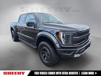 Used 2023 Ford F-150 - photo 1
