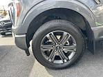 2023 Ford F-150 SuperCrew Cab 4WD Pickup for sale #CGB5681A - photo 24