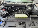 New 2025 Ford F-150 XL Regular Cab Pickup for sale #CKD48947 - photo 12