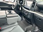 2024 Ford F-150 Regular Cab RWD Pickup for sale #P20750 - photo 14