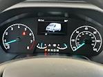 2024 Ford Transit 150 Low Roof RWD Empty Cargo Van for sale #P20952 - photo 22