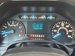2019 Ford F-150 Regular Cab RWD Pickup for sale #T28820 - photo 21