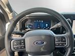 2024 Ford F-250 Crew Cab 4x4, Pickup for sale #12661 - photo 11