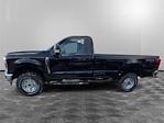 2024 Ford F-250 Regular Cab 4x4, Pickup for sale #12905 - photo 3