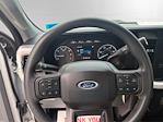 2023 Ford F-350 Regular Cab SRW 4WD Pickup for sale #13030AA - photo 12