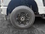 2025 Ford F-250 Regular Cab 4x4 Pickup for sale #13051 - photo 14
